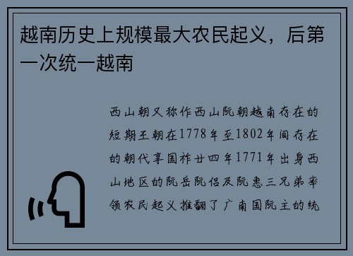 越南历史上规模最大农民起义，后第一次统一越南